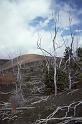 RWT 0014 002-36 Hawaii Kilauea